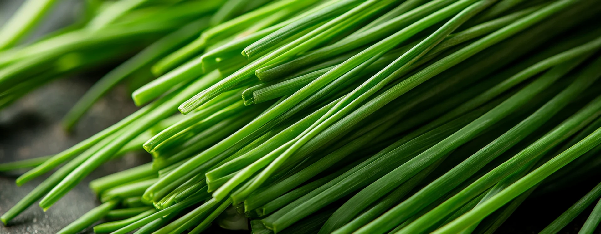 Chives Image